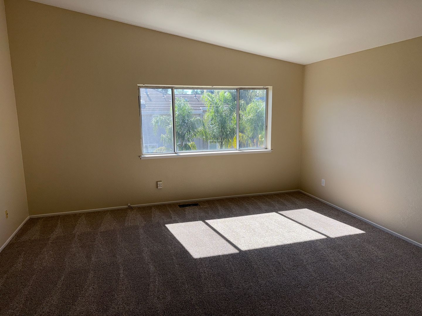 296 Fruitvale Road 10 of 20