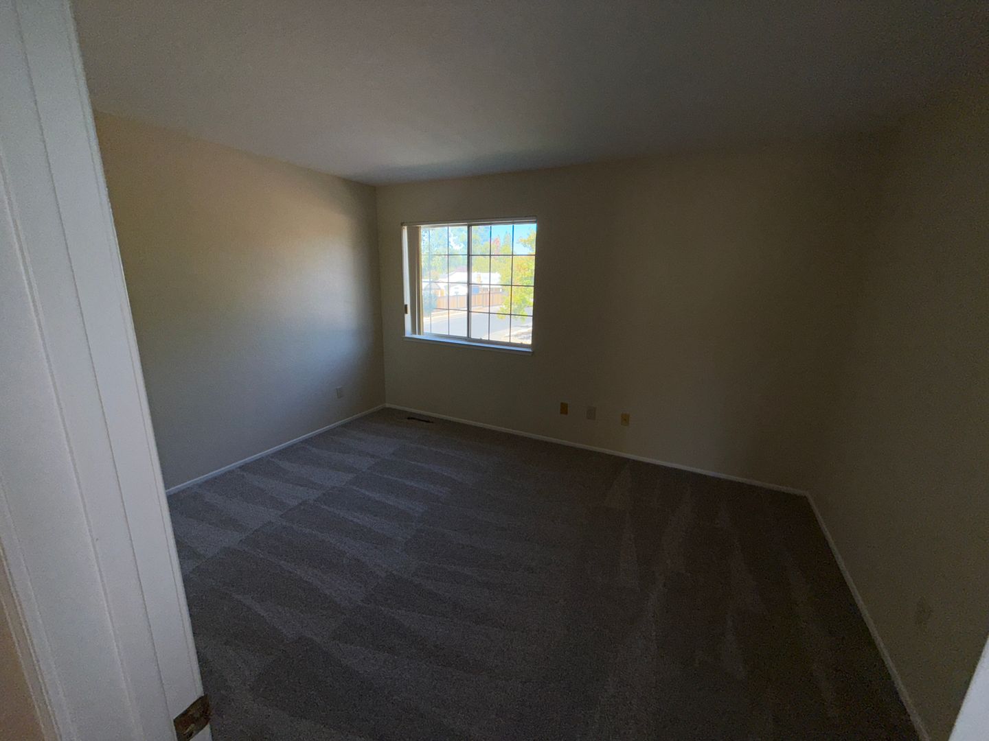 296 Fruitvale Road 14 of 20