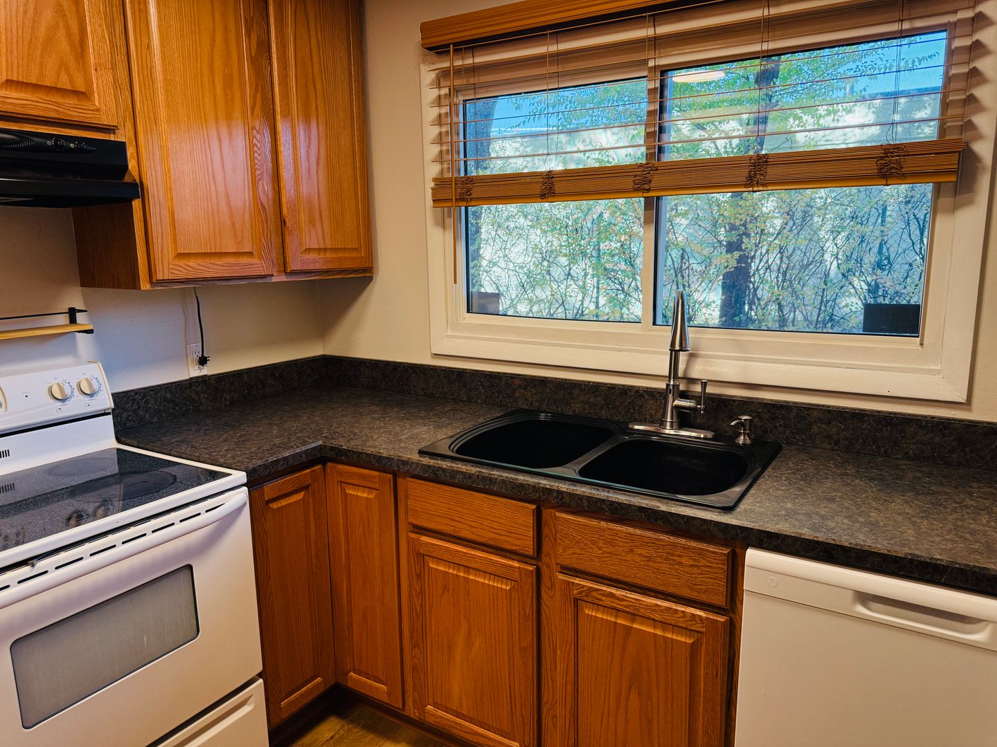 Billings House: 1541 Wyoming Avenue