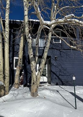 250 Cove Blvd. #3, Lakeside Townhouses #3, Dillon, CO 80435