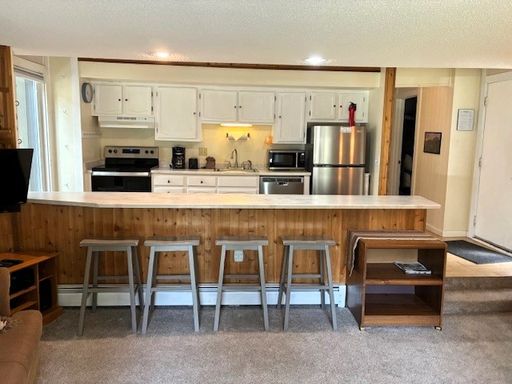1105 Ski Hill Rd. Bldg. C #69, Gold Camp 69, Breckenridge, CO 80424