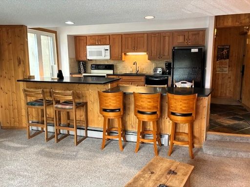 1075 Ski Hill Rd Bldg. A #46, Gold Camp A-46, Breckenridge, CO 80424