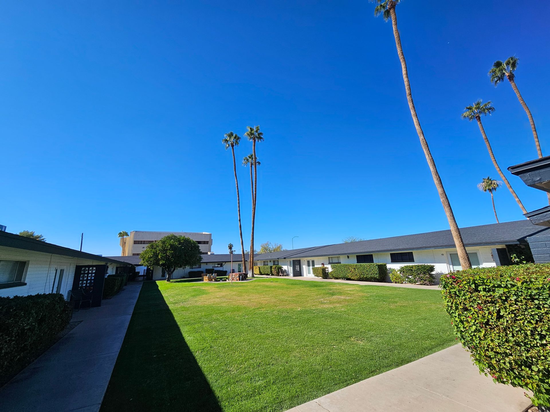 Mesa Apartment: 315 W. 10th Pl.