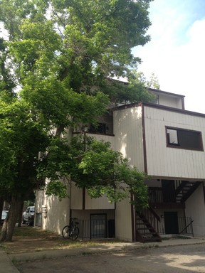 *AVAILABLE NOW* Large 2 Story, Folsom & Spruce St.; Close to Downtown – photo 1