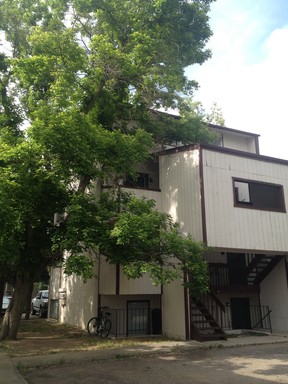*AVAILABLE NOW* Large 2-Story, Folsom & Spruce St.; Close to Downtown – photo 1