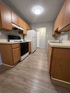 Spacious 2-Bedroom Apartment - Walking Distance to Downtown Ferndale – photo 1