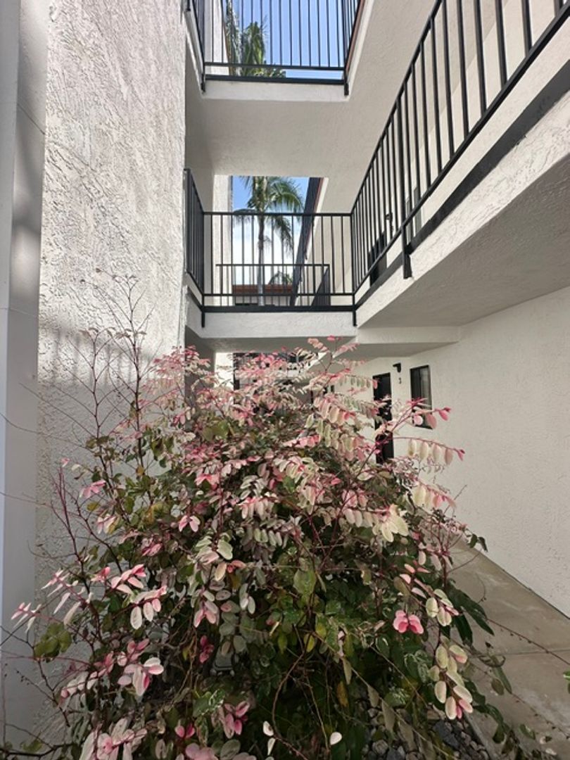 San Diego Apartment: 4042 Albatross Street