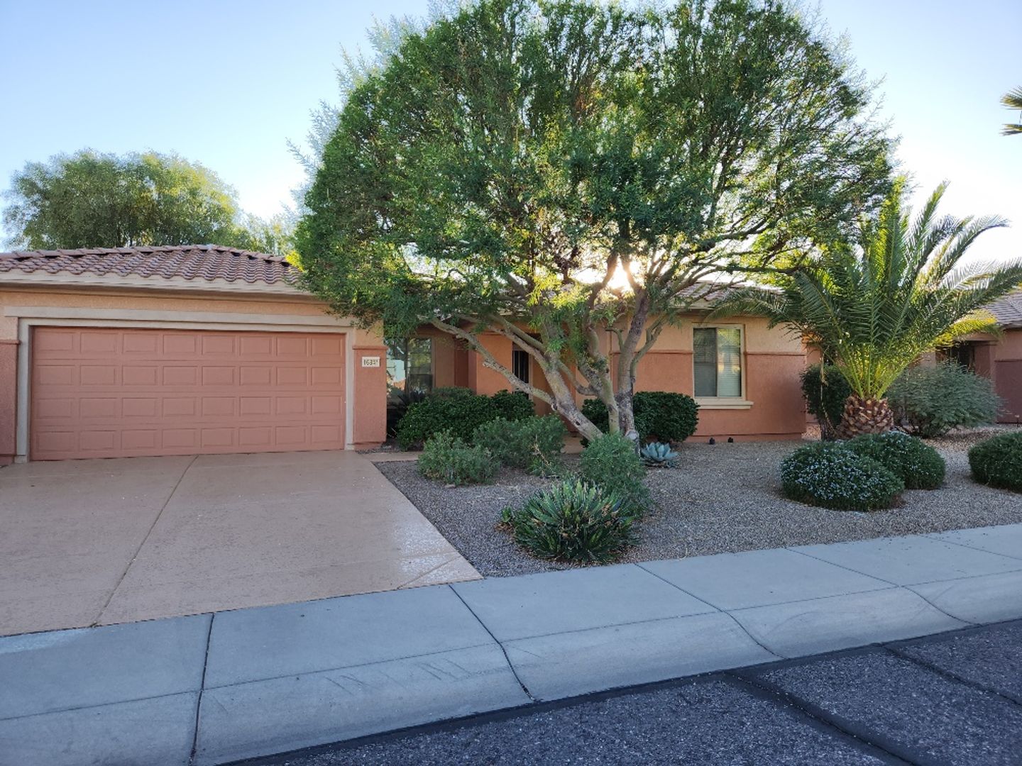 Surprise House: 16841 W Cortaro Point Dr