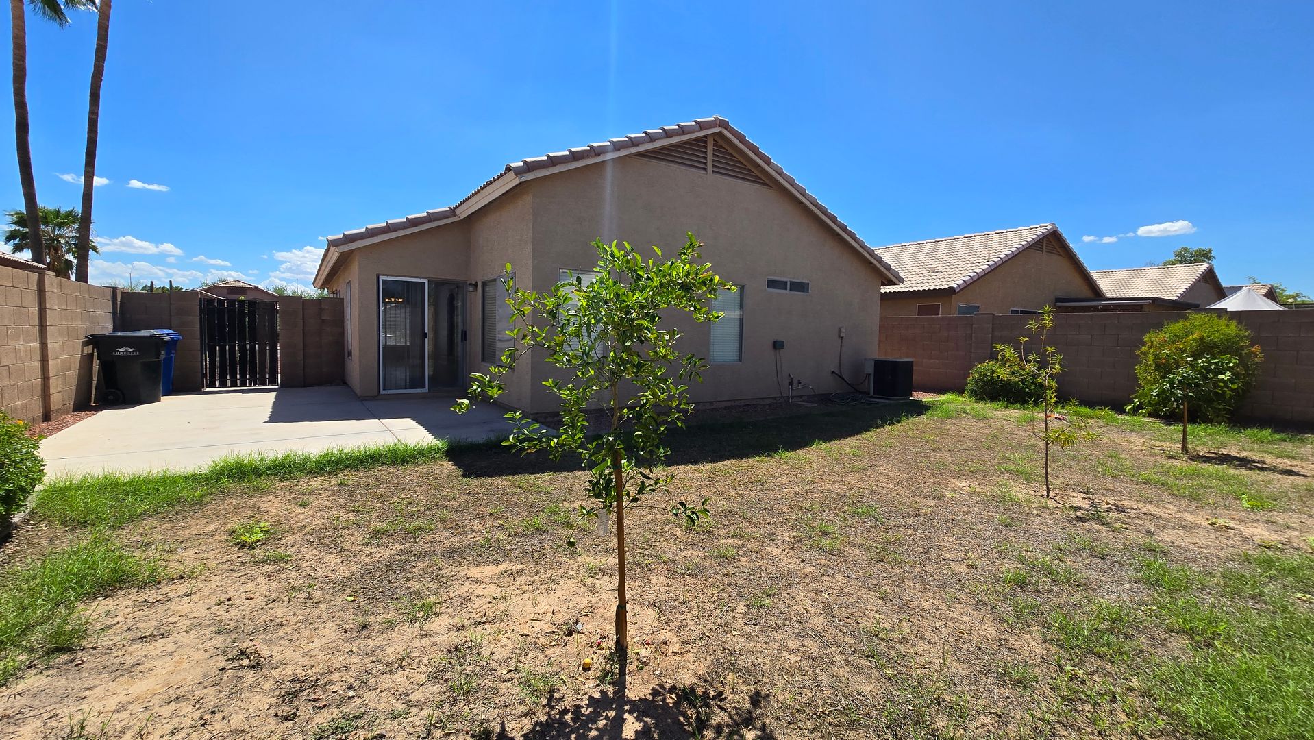 13344 W Desert Lane, Surprise, AZ 85374 photo 23