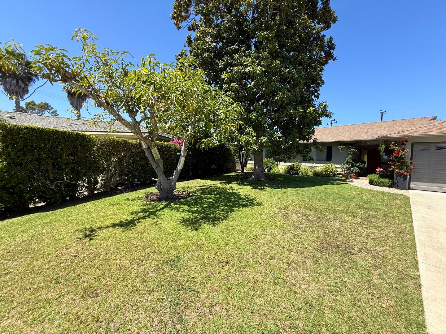 Santa Barbara House: 225 Adair Drive
