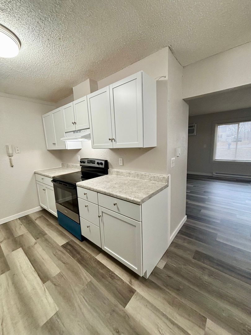 Waterloo Apartment: 405 W Donald St