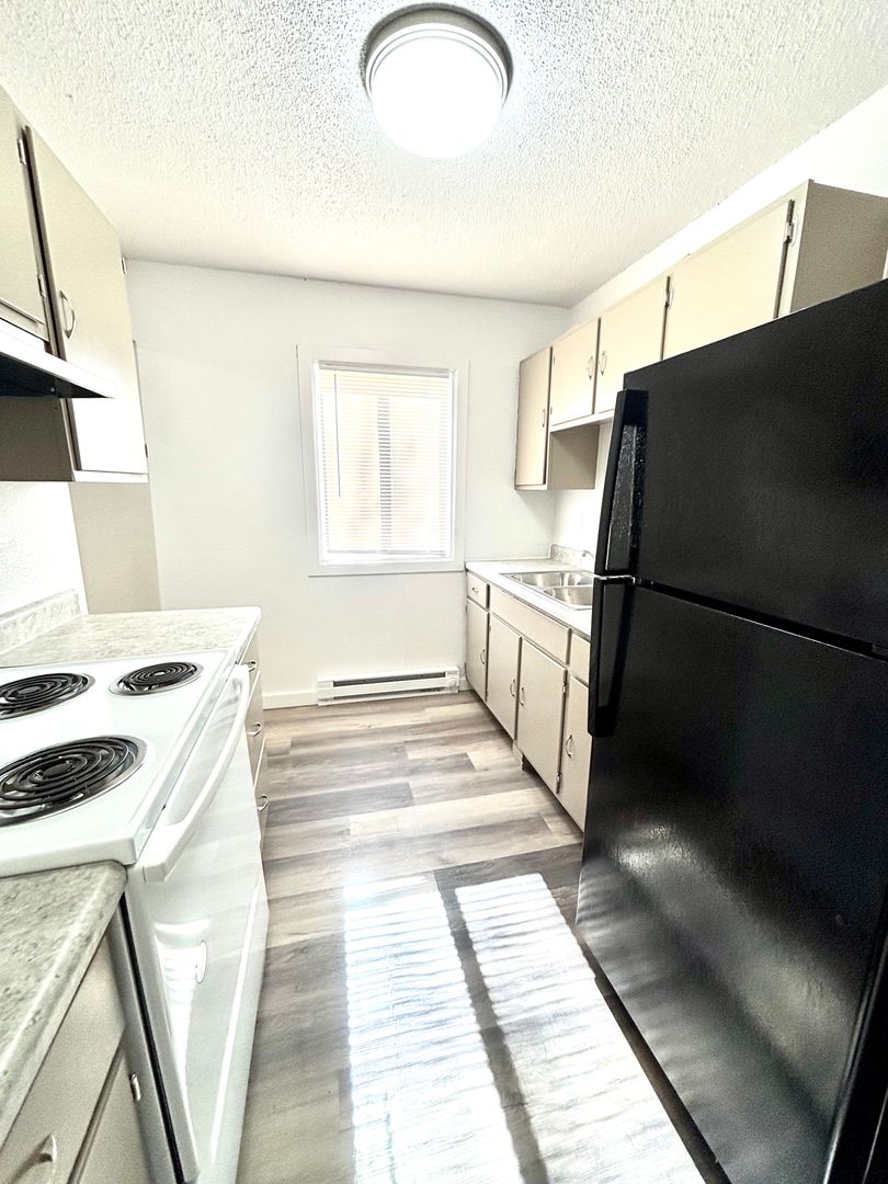 Waterloo Apartment: 405 W Donald St
