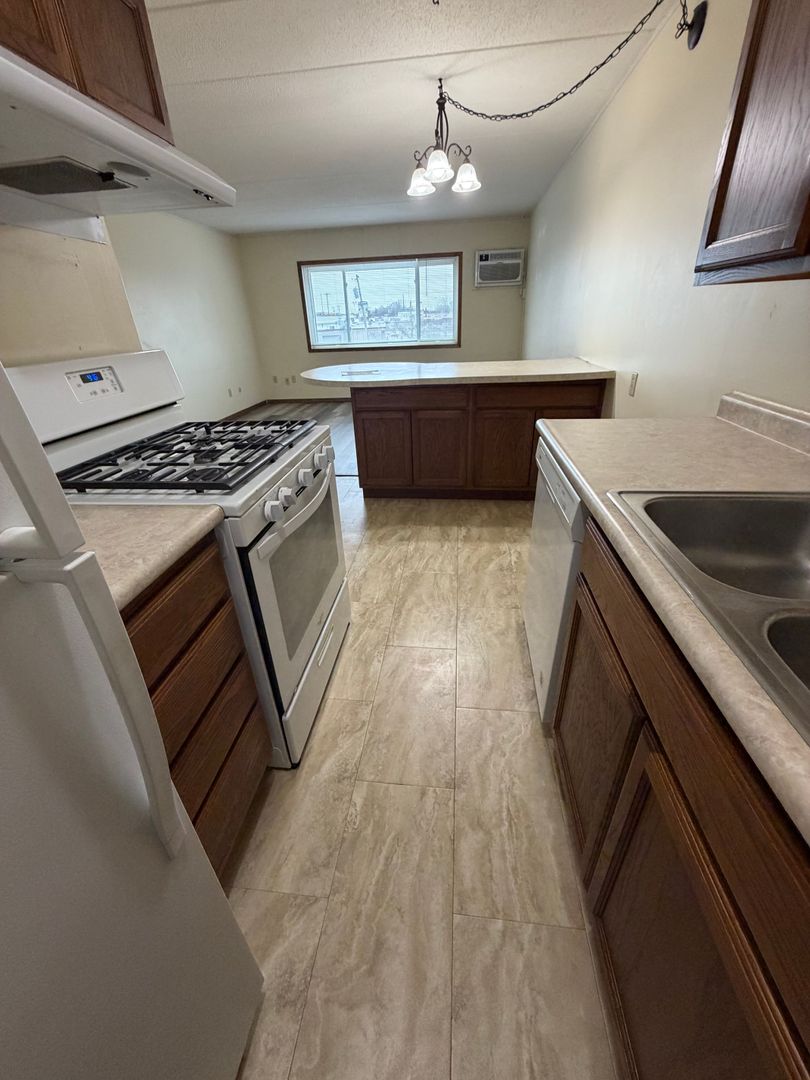 Rochester Apartment: 1532 10th ST SE