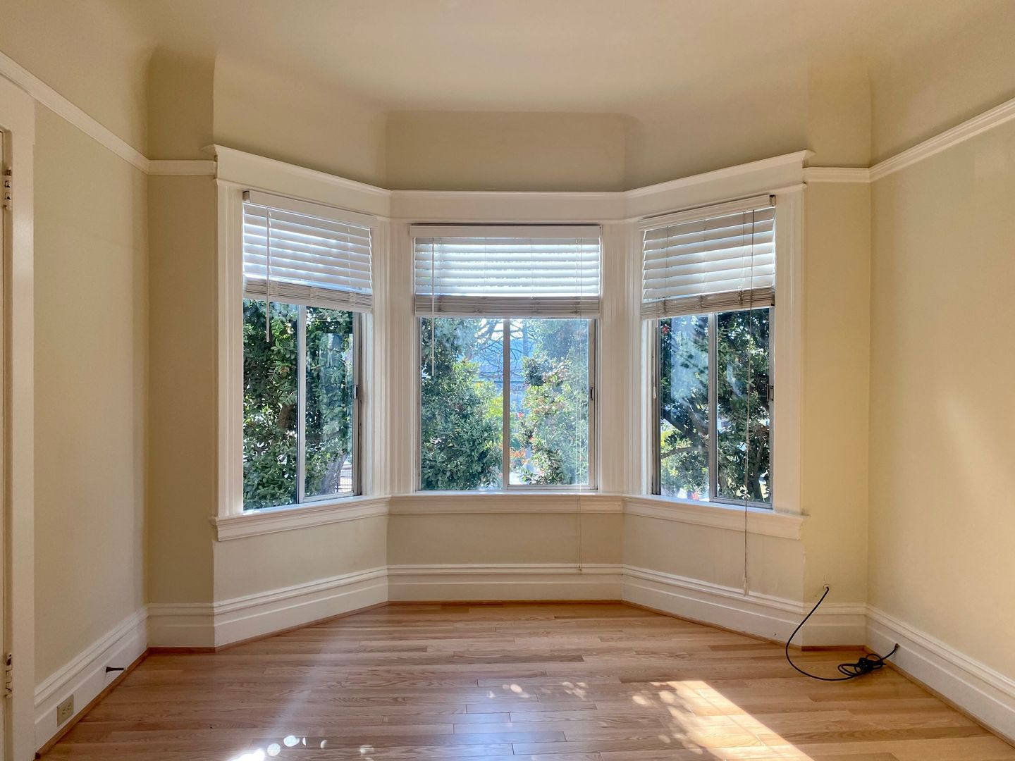 San Francisco Apartment: 503 Cortland Ave