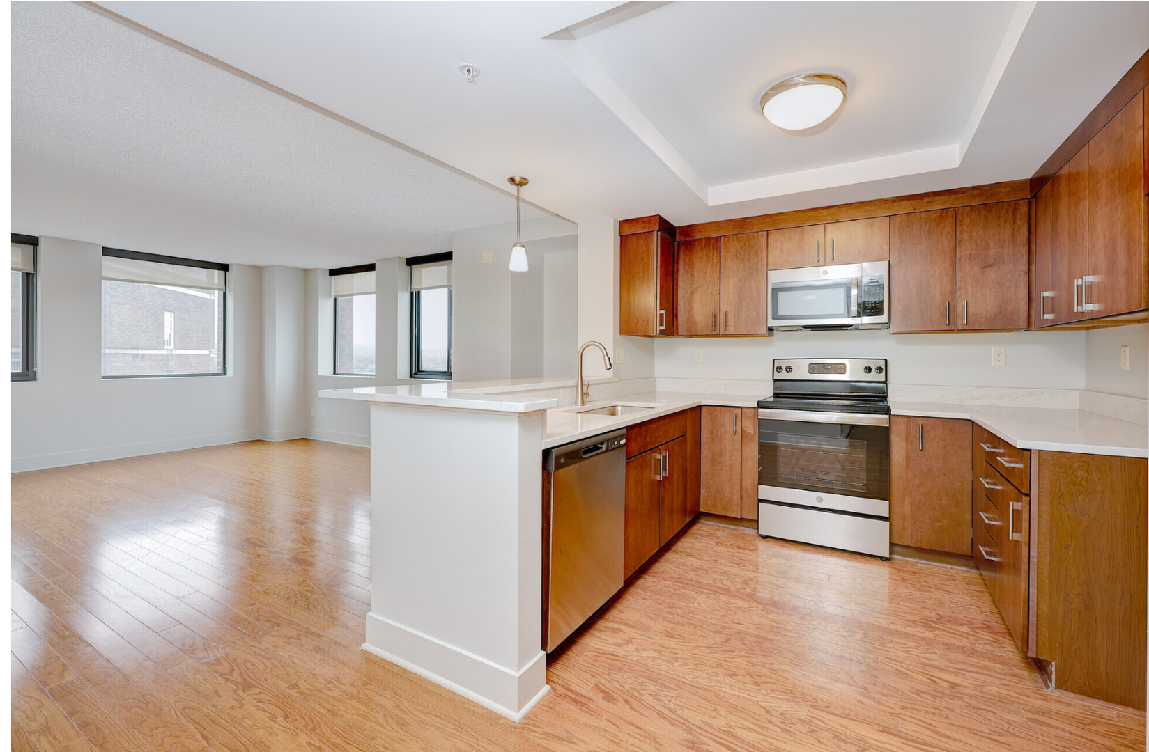 Syracuse Apartment: 111-113 E. Onondaga Street