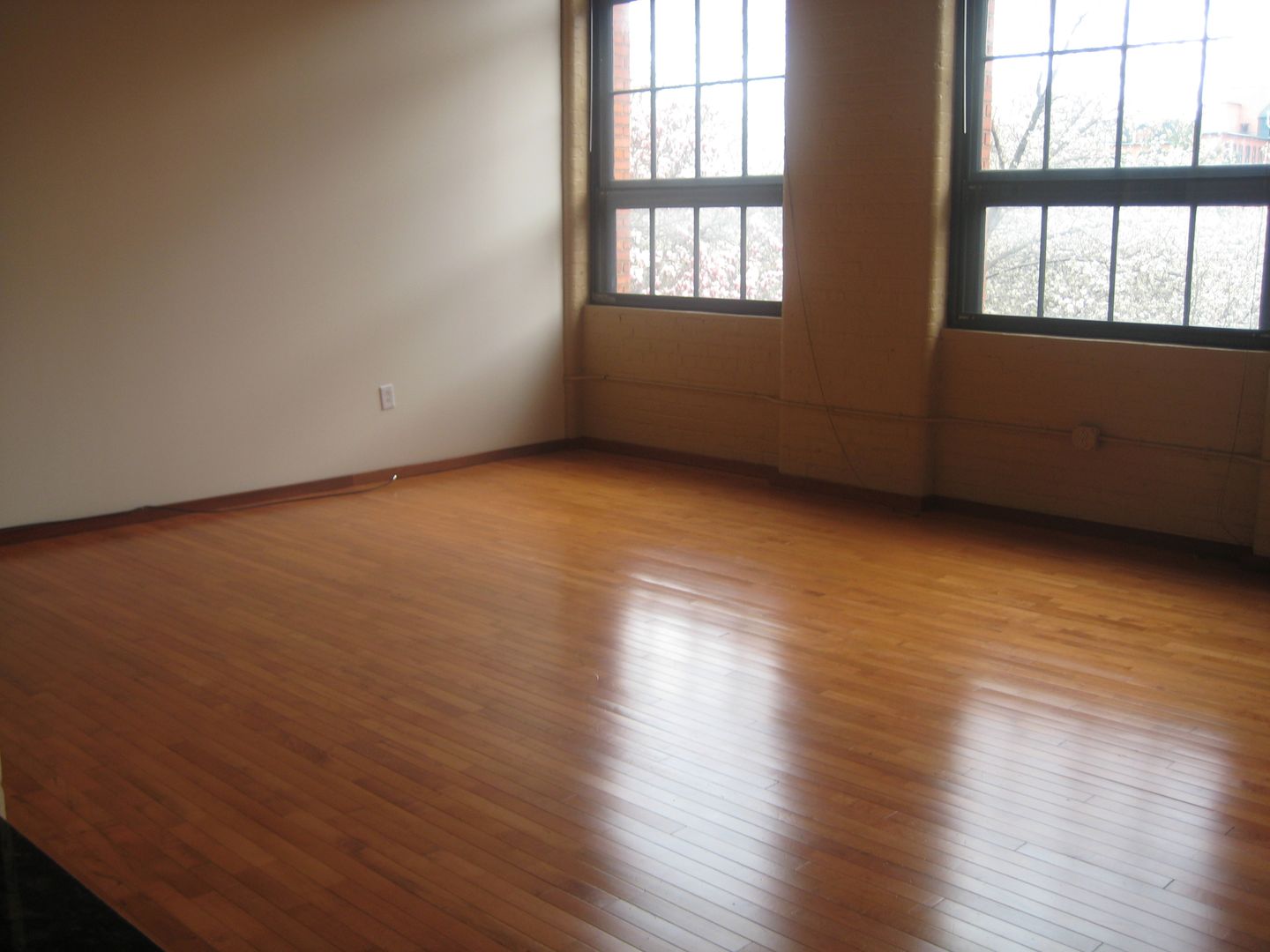 Syracuse Apartment: 525 Plum Street