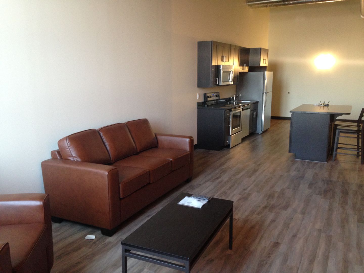 Syracuse Apartment: 324 West Water Street