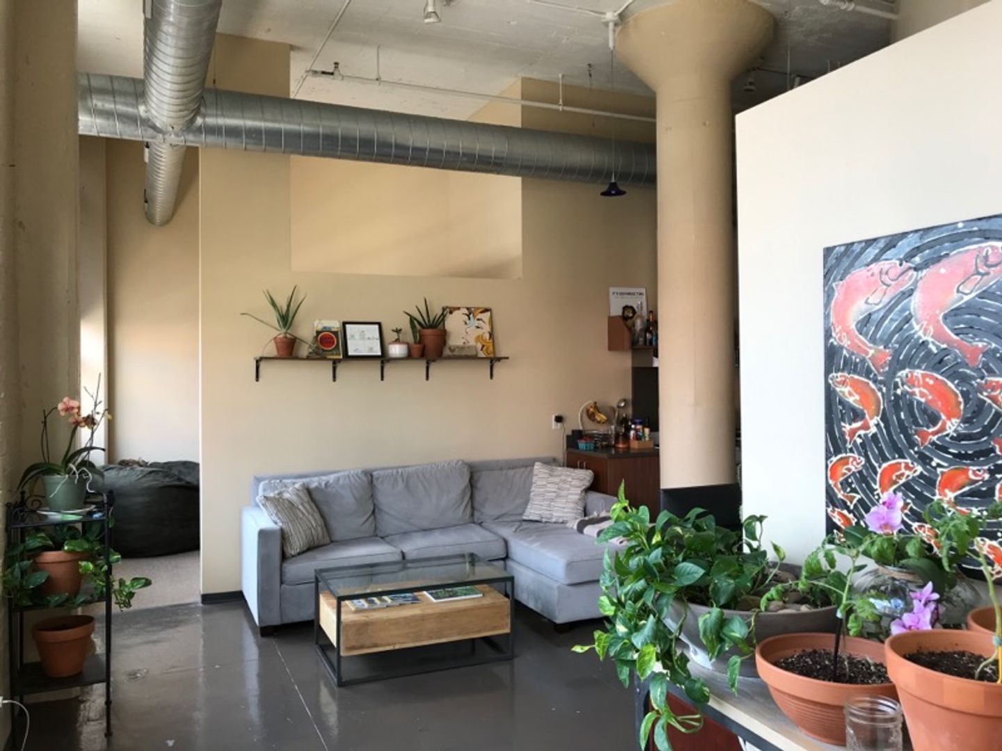 Syracuse Apartment: 230 W. Willow Street