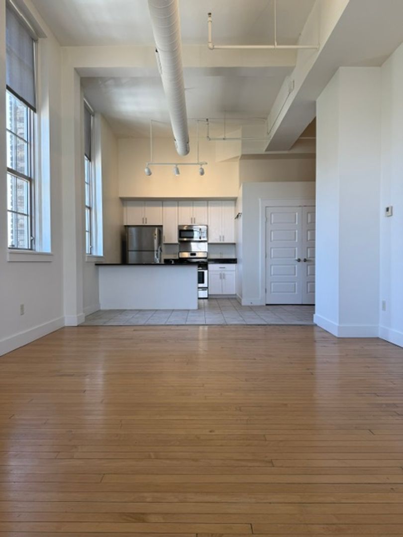 Rochester Apartment: 42 S. Washington Street