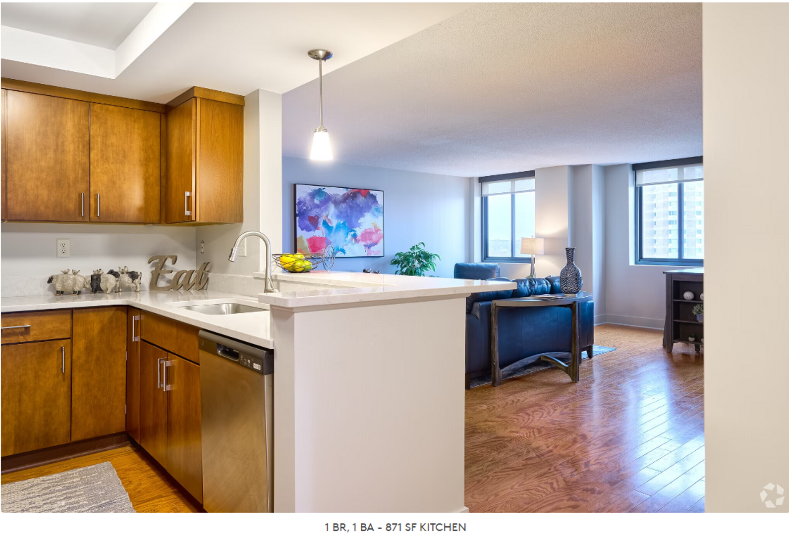 Syracuse Apartment: 111-113 E. Onondaga Street