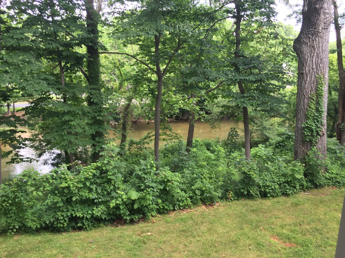 Waynesboro Apartment: 815 Lyndhurst Road