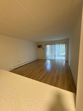 1 Bed 1 Bath Rental at 62 S Wolf RD, Unit 110, Wheeling, IL – photo 1