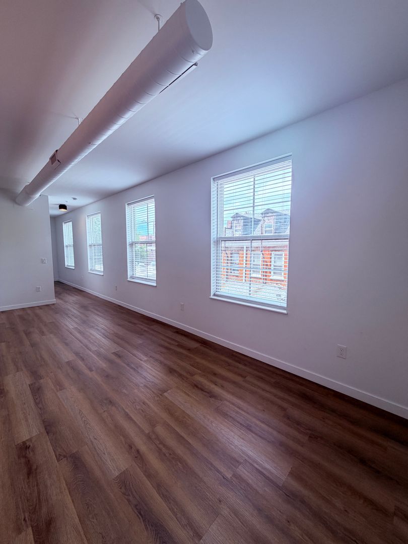 Pittsburgh Apartment: 308 Miltenberger Street