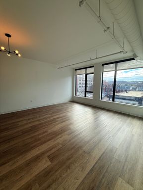 First month rent free | October 1st | Modern 1BR Milt Layout | Sun-Drenched Views – photo 1