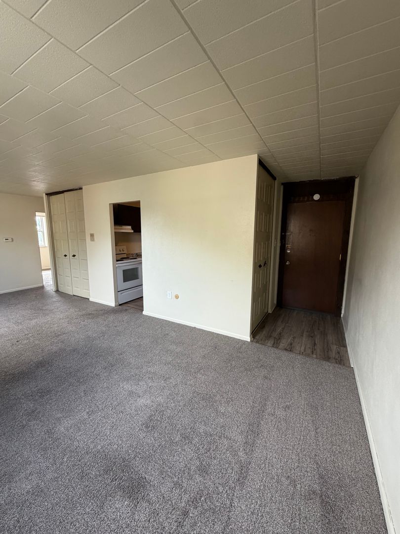 Pittsburgh Apartment: 88 Sheridan Ave