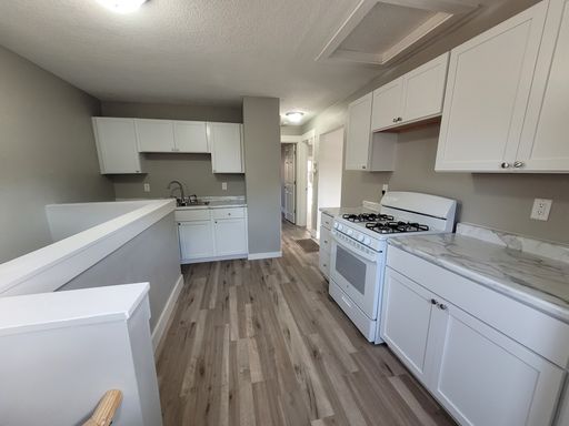 Renovated (in 2024!) two bedroom home, hard surfaces throughout! – photo 1