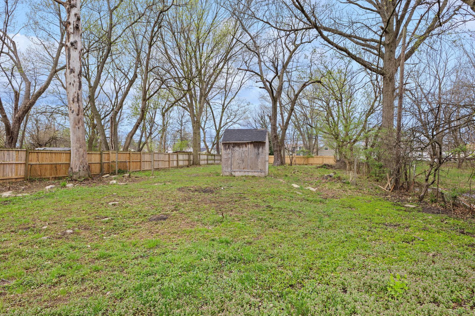 Gallery Image 28