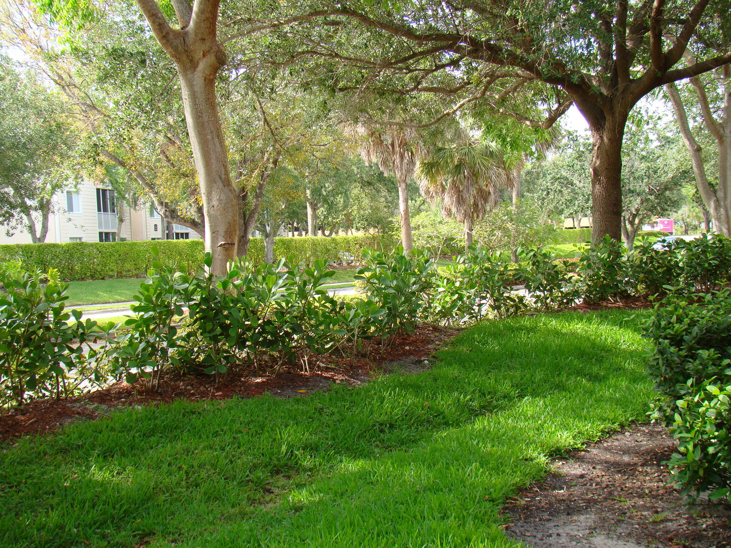 3273-nw-118th-drive-coral-springs-fl-33065