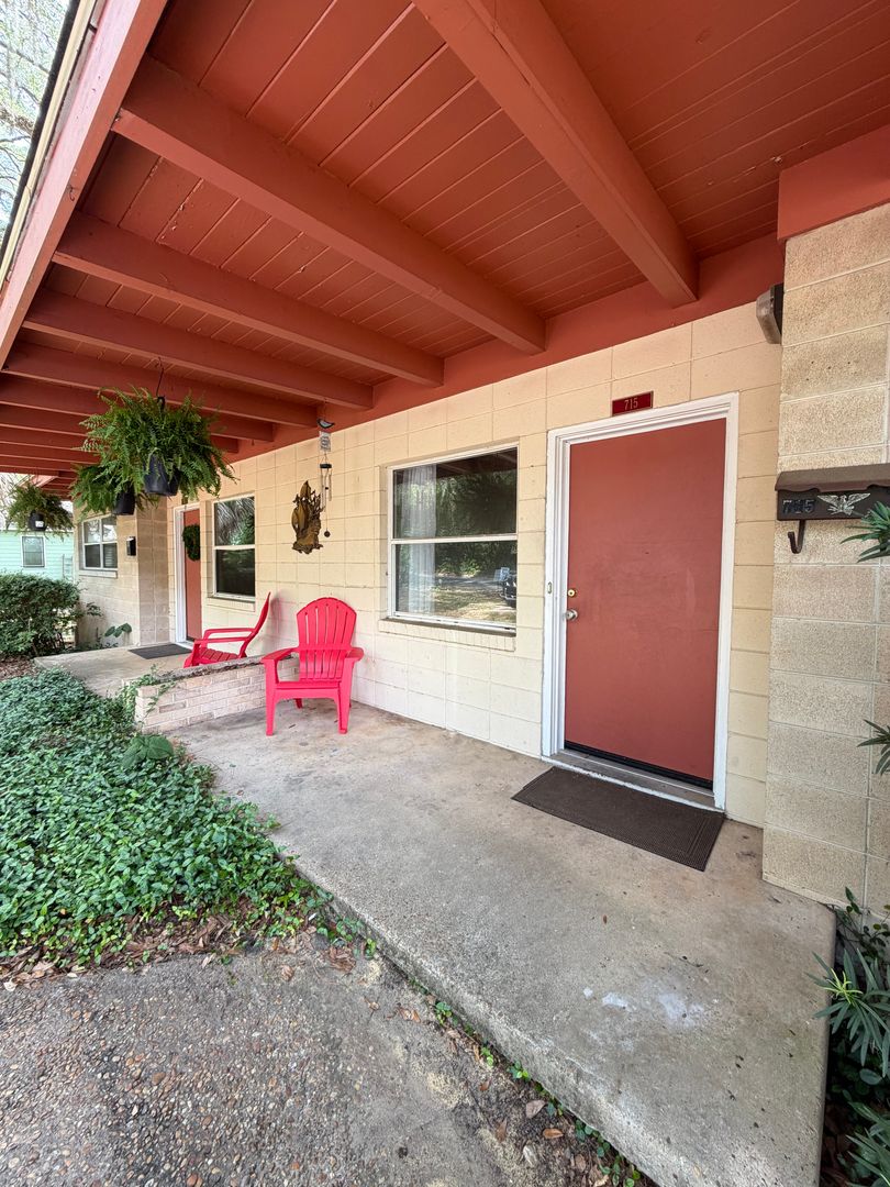 Tallahassee Apartment: 717 Edgewood Street
