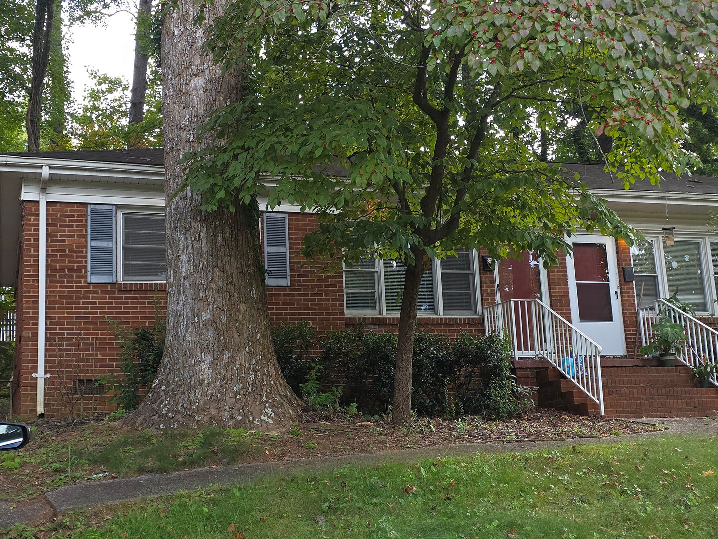 Charlotte Multiplex: 3818 Winfield Drive