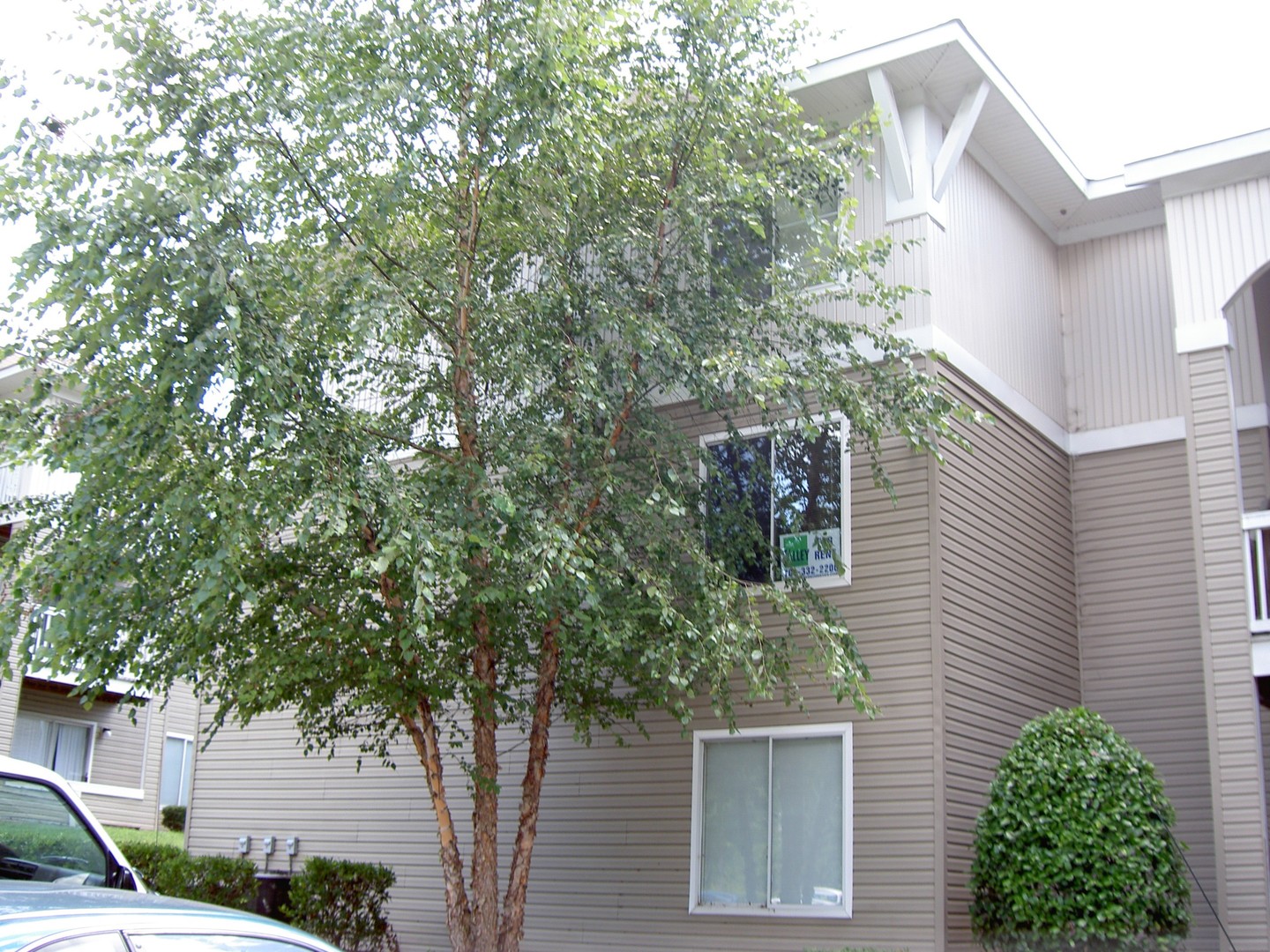 Charlotte Apartment: 11000 Diploma Drive