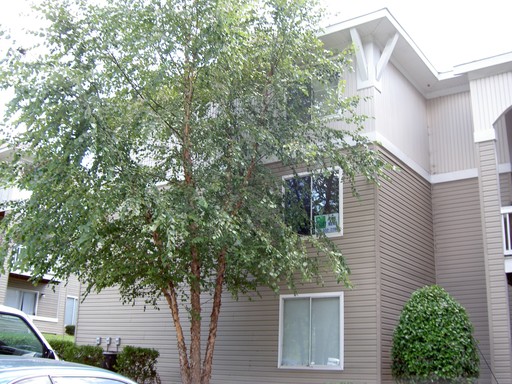 11000 Diploma Drive - 11000K-4 , Apartment K, Charlotte, NC 28262