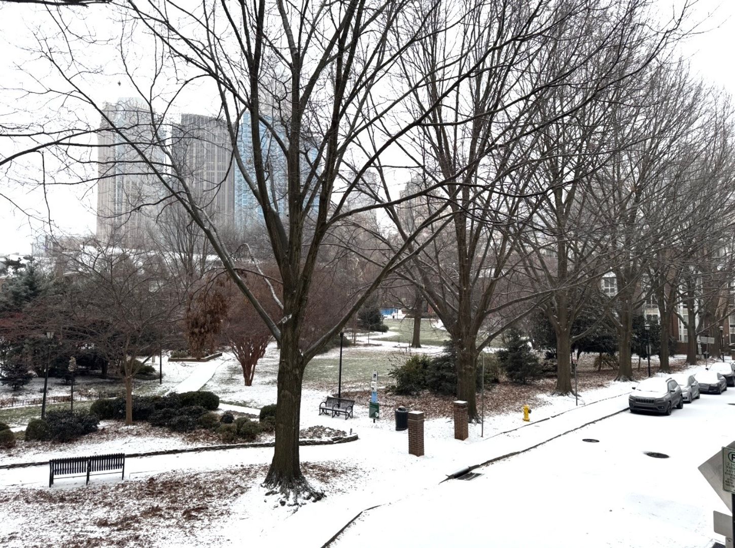 Charlotte Condo: 417 West 8th Street Unit I