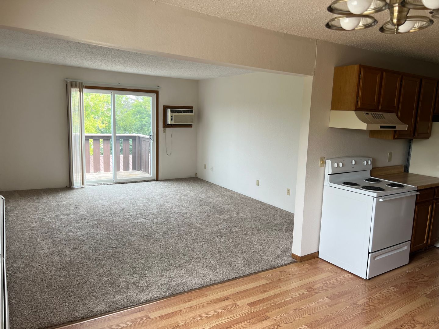 Bemidji Apartment: 1011 Washington Ave S