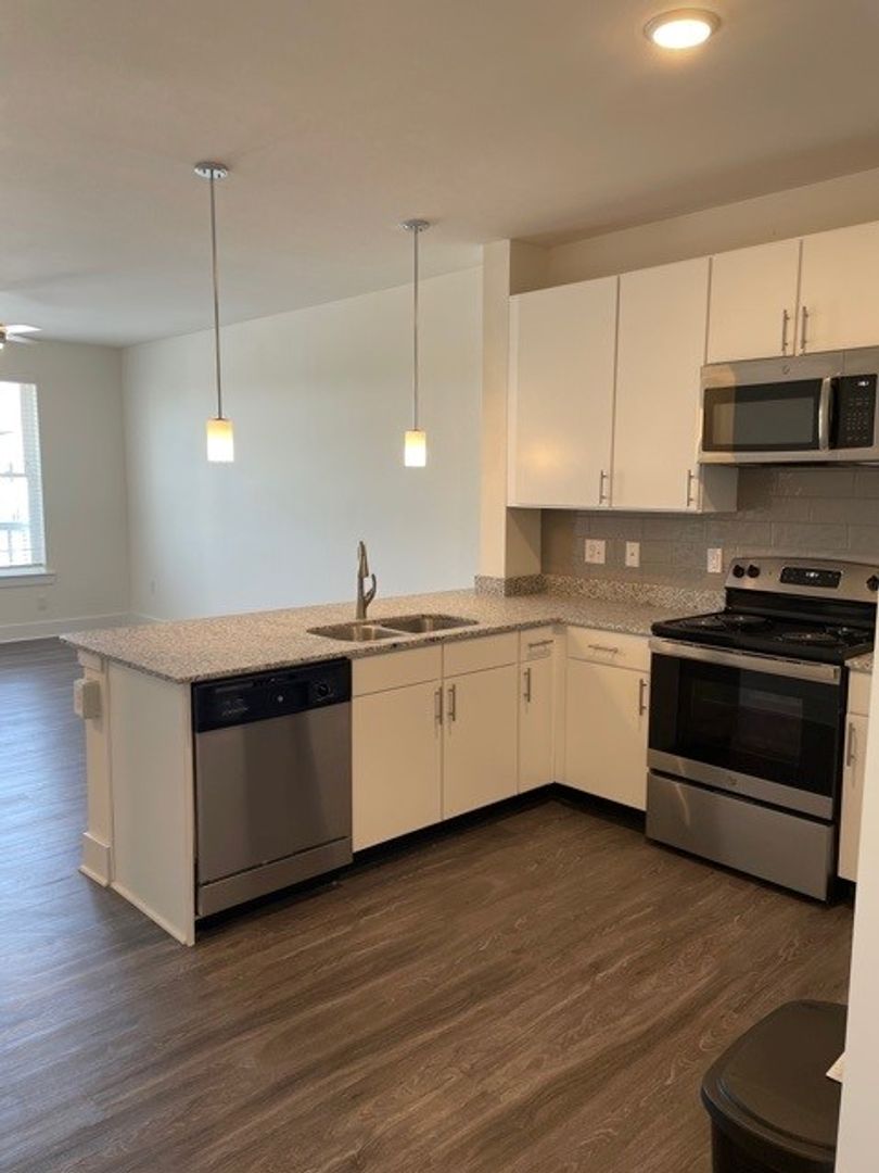 Norfolk Apartment: 719 E. Ocean View Ave