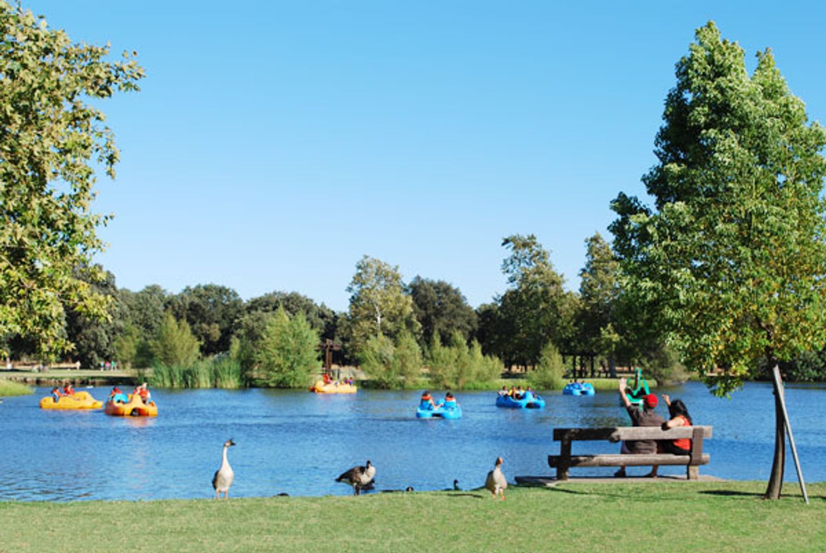 Chesapeake Apartment: 208 Crosswinds Drive