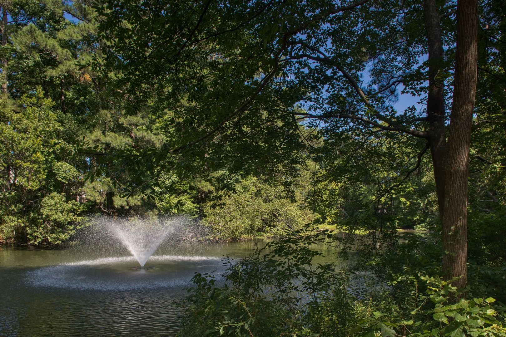 Virginia Beach Apartment: 500 Chapel Lake Drive