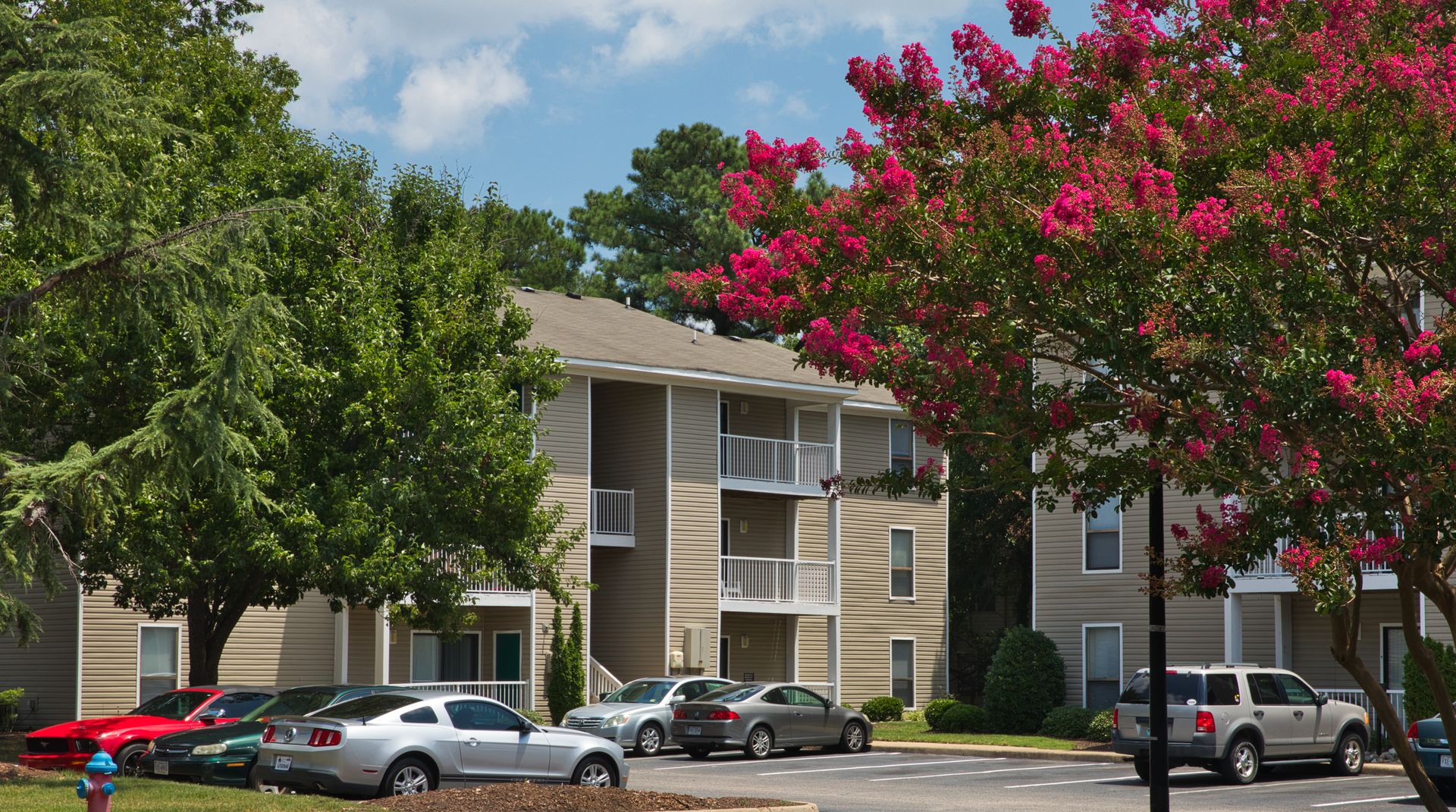 Virginia Beach Apartment: 397 Brixton Dr