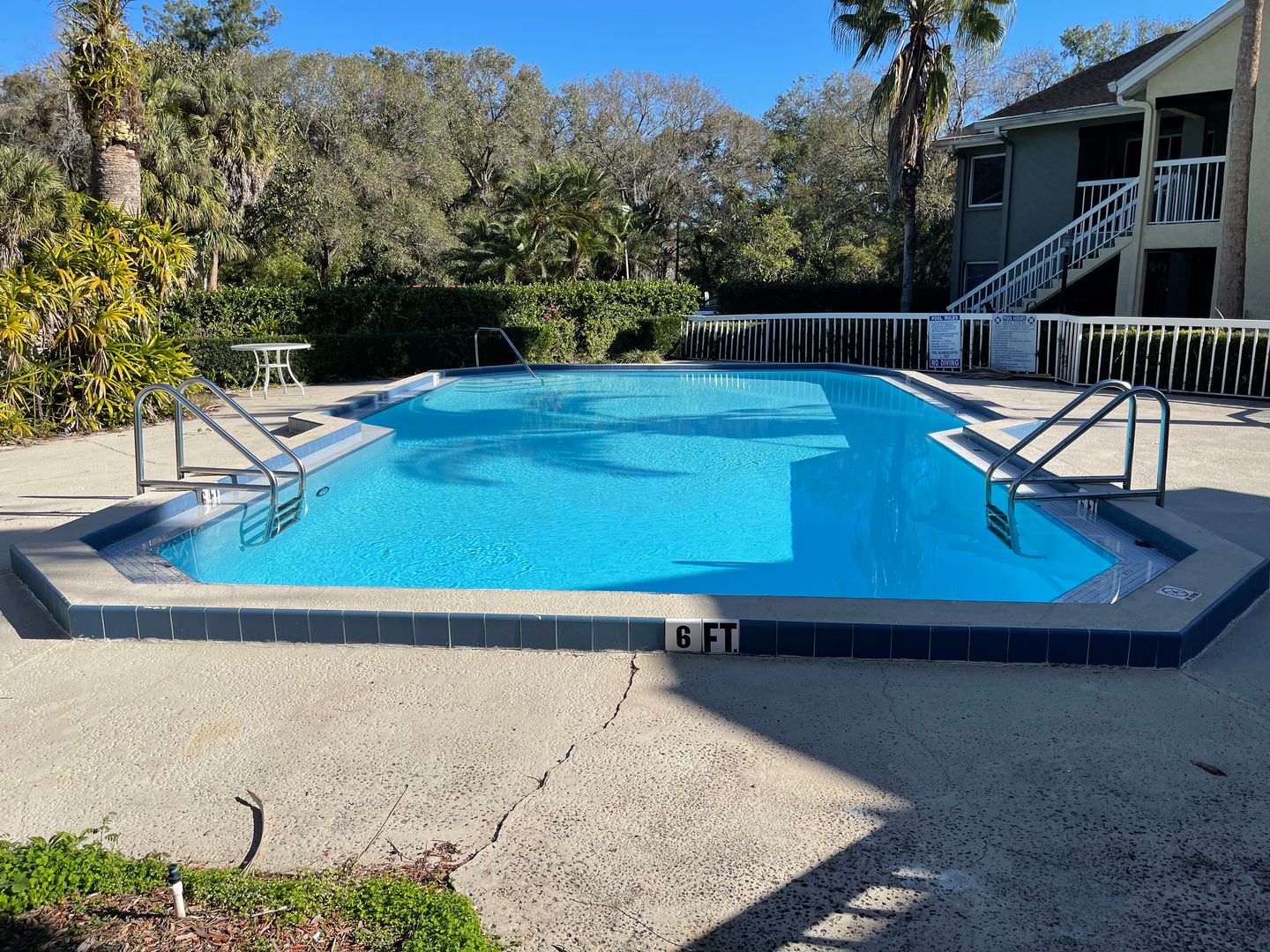 Tampa Apartment: 1915 W Waters Ave
