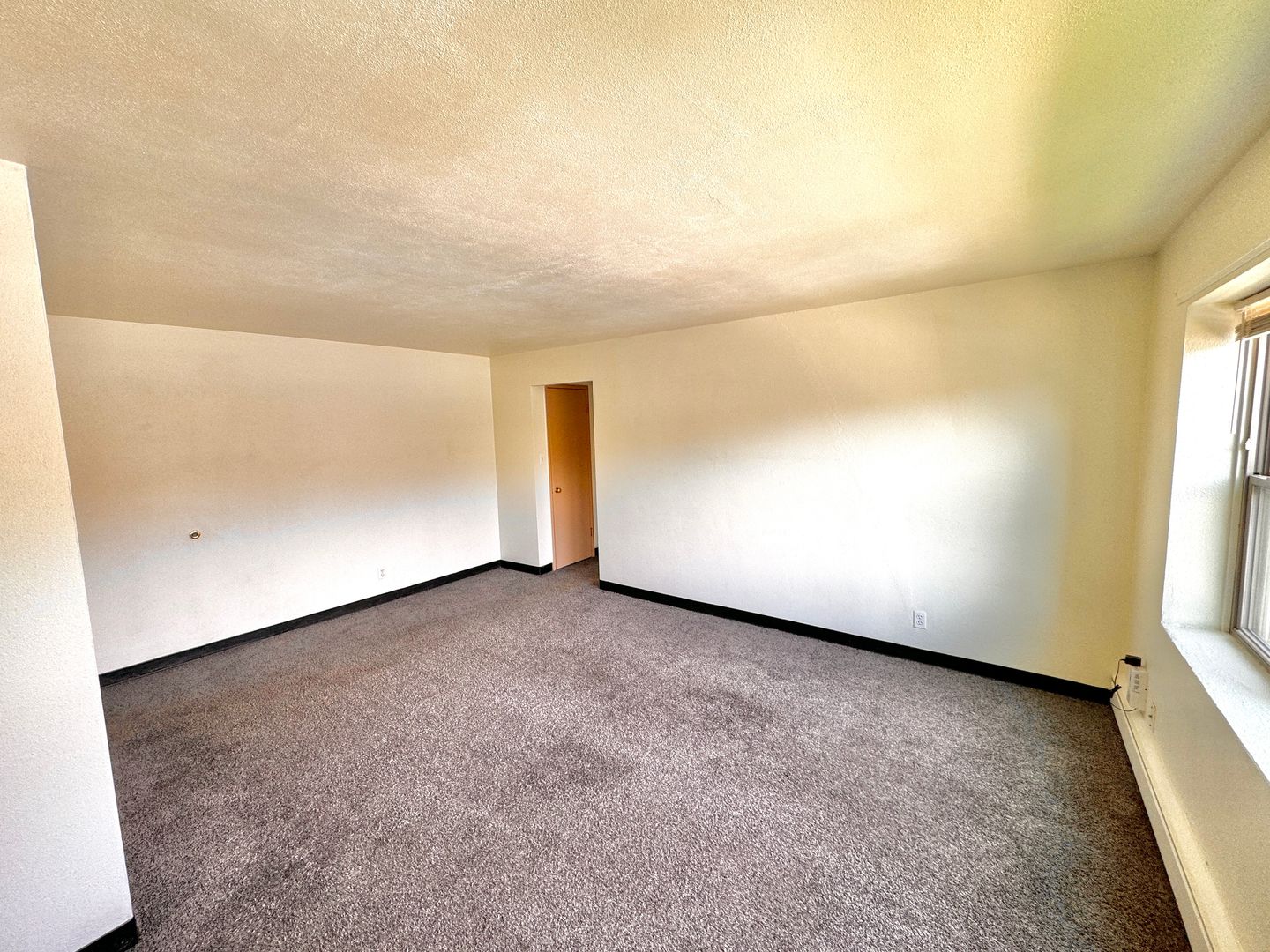 Rochester Apartment: 1511 3rd Ave NE