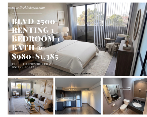 Cozy and modern 1BR/1BA – photo 1