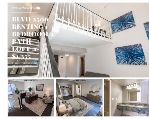 Bright and spacious 1BR/2BA Loft – photo 1