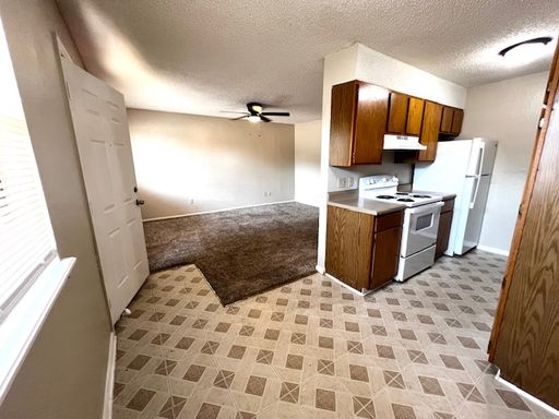 Large 1 bedroom - 1 bath Kentucky Pine Apartments – photo 1