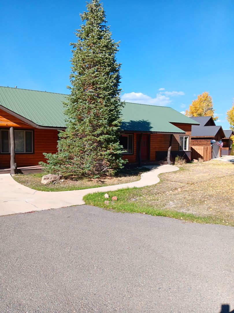 Pagosa Springs House: 182 Driftwood