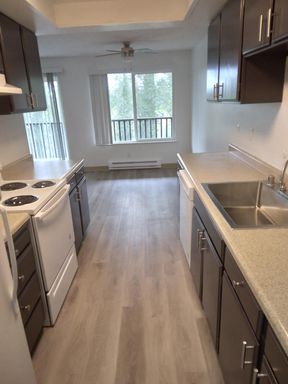 Spacious Two-Bedroom, One-Bath Living at Forest View Apartments — Available Now – photo 1