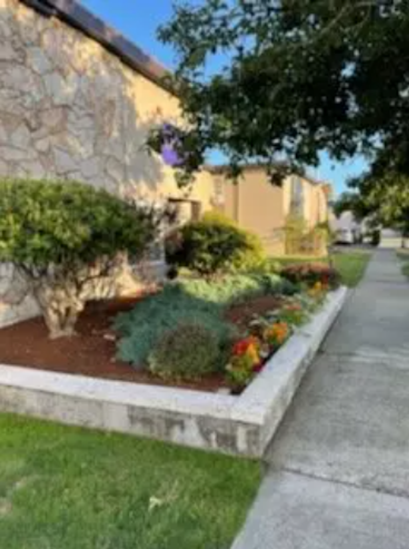 Kent Apartment: 718 State Avenue N #11